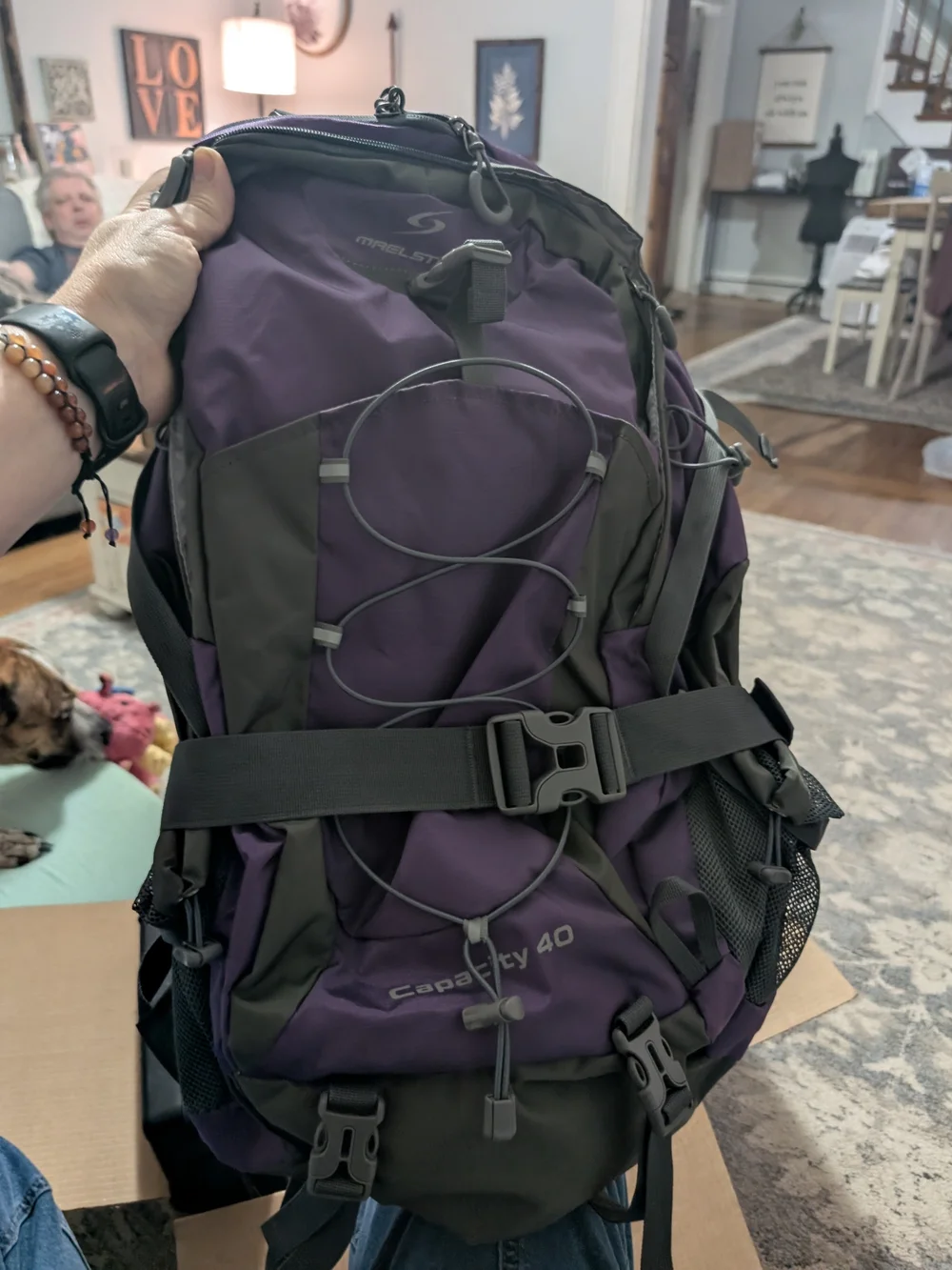 Maelstrom Purple Daypack Backpack 40 L Brand New
